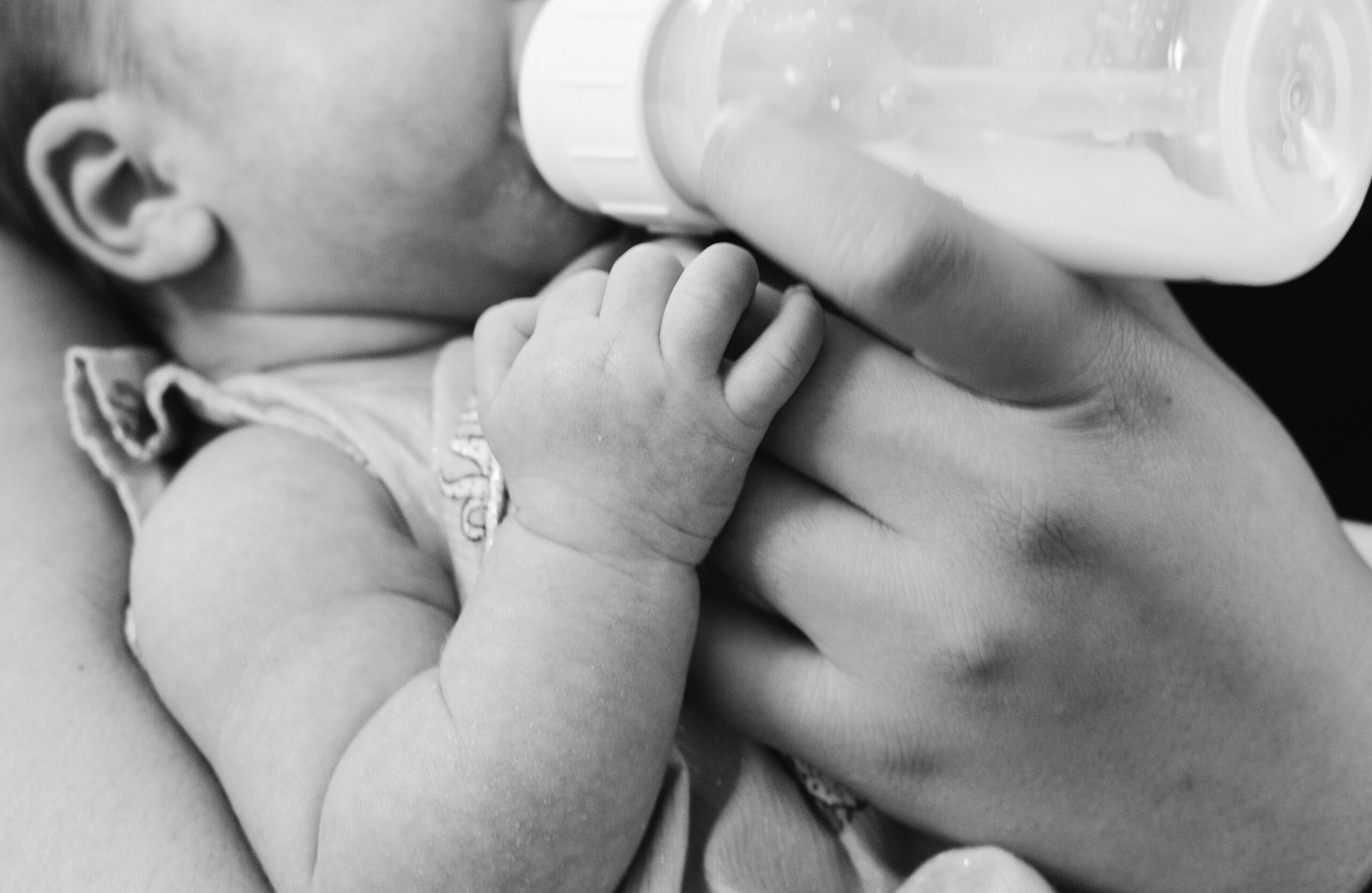 Newborn baby feeding, showing the rooting reflex during breastfeeding.